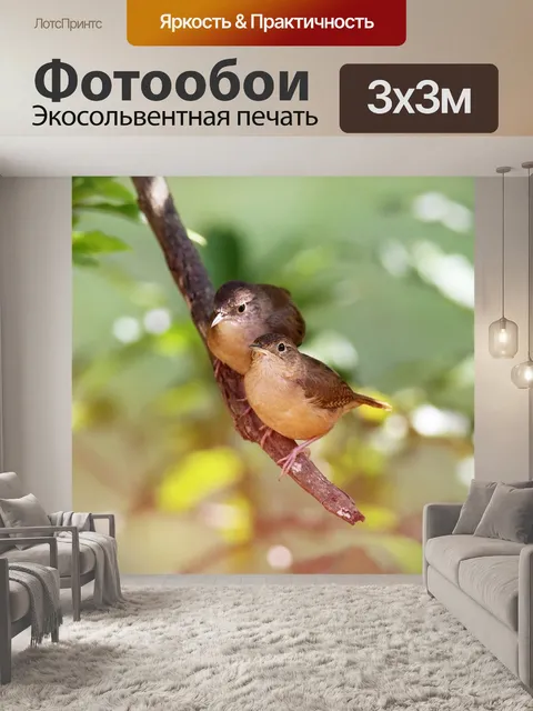 Фотообои Венки