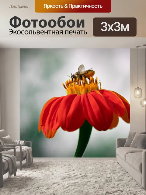 Фотообои Медоносная пчела, насекомое, пчела