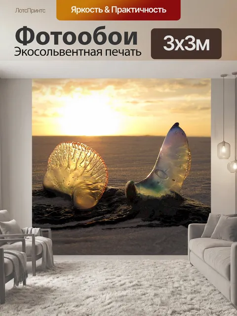 Фотообои Медузы на закате