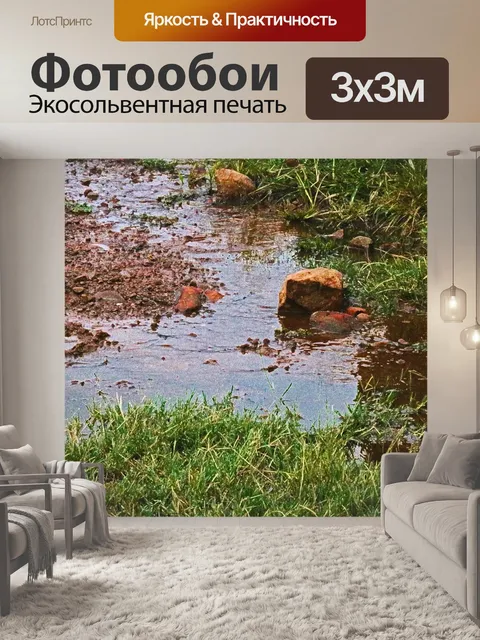 Фотообои стоячая вода с камнями и травой
