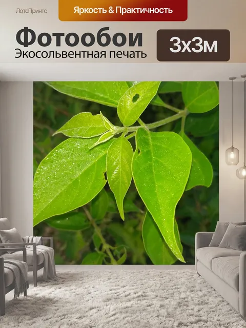 Фотообои Зеленые листья