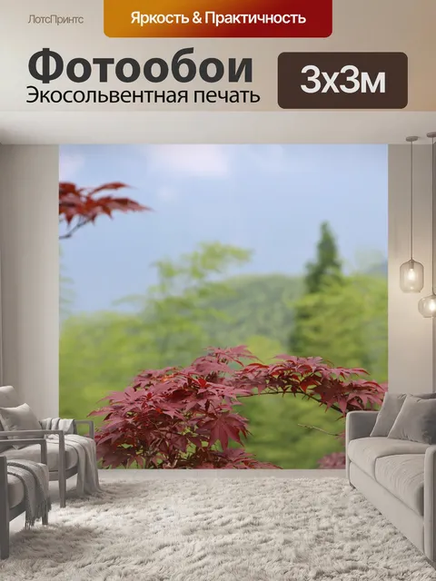 Фотообои Клен