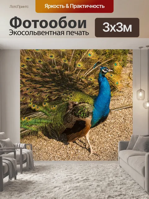 Фотообои Павлин