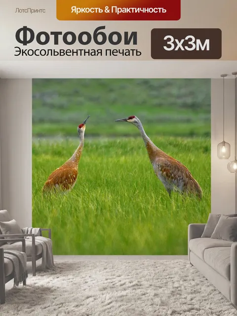 Фотообои Цапля