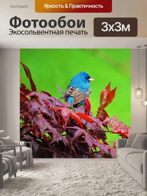Фотообои Индиго овсянка