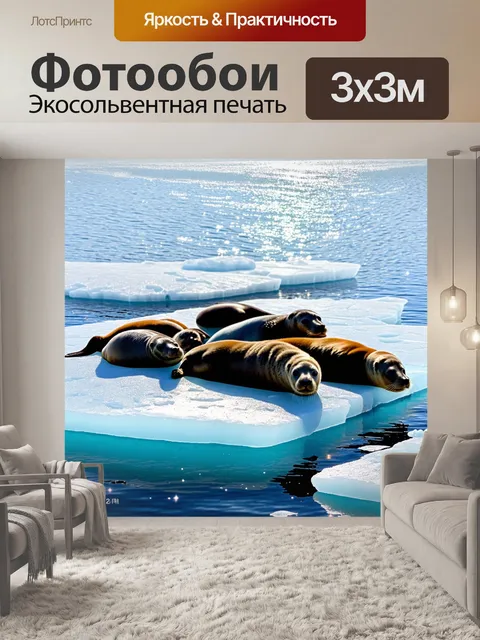 Фотообои группа тюленей, вытягивающихся на платформе из битого льда, с солнечными бликами, отражающимися на воде