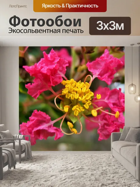 Фотообои гордость Индии цветут