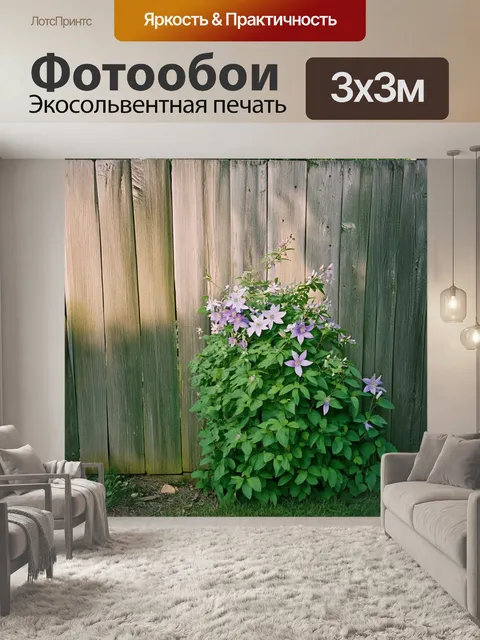 Фотообои стильная панорама клематиса