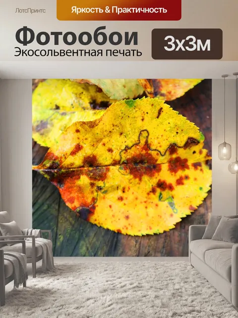 Фотообои Осенний лист
