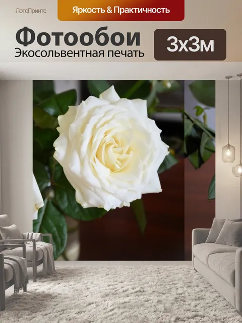 Фотообои Белые розы