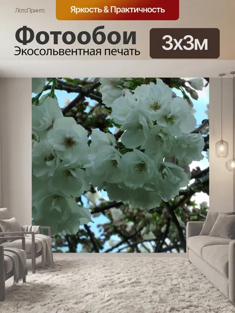 Фотообои Cherry Blossom Цветы