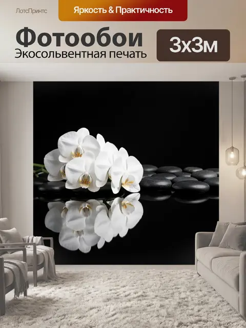 Фотообои Белые орхидеи на камнях