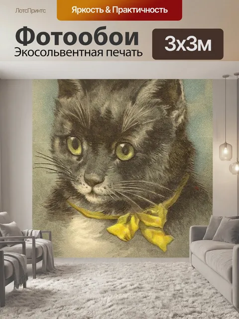 Фотообои Черная красавица-кошка