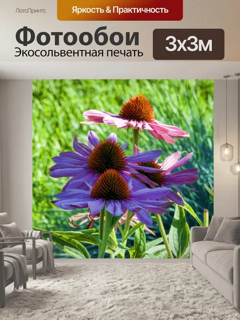 Фотообои Фиолетовые конусы