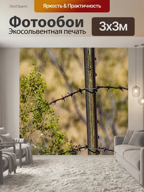 Фотообои Забор из колючей проволоки