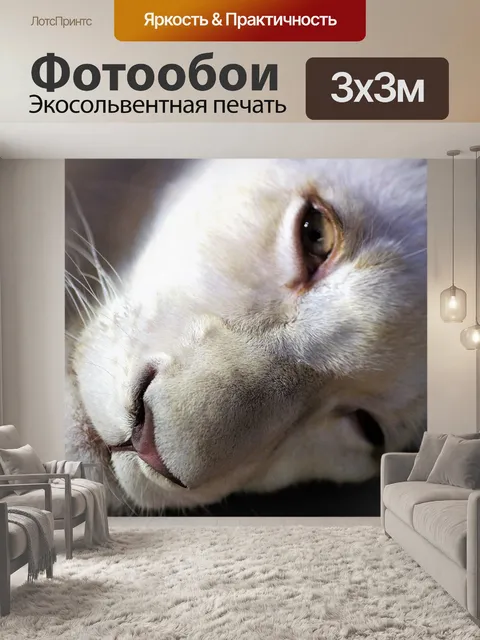 Фотообои Лев