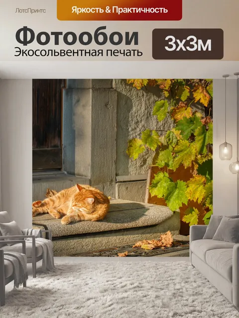 Фотообои Валяться вокруг