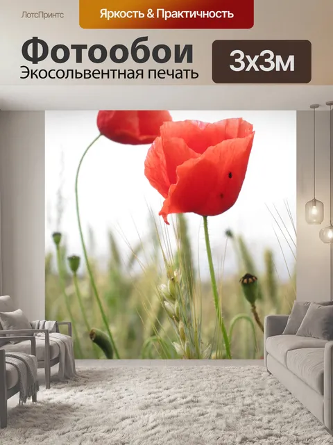 Фотообои Маки
