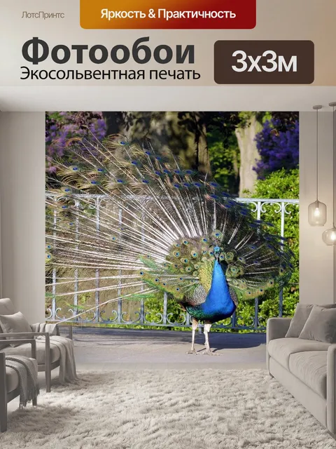 Фотообои Павлин