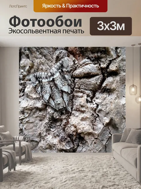 Фотообои Сфинкс