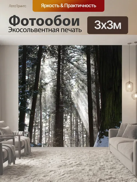 Фотообои Солнечный свет