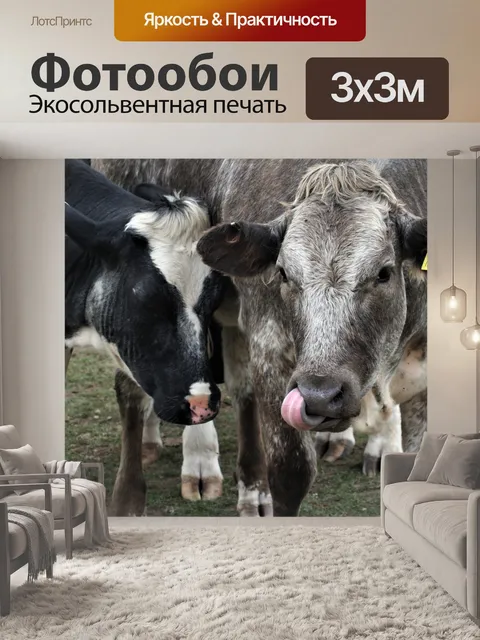 Фотообои Домашний скот
