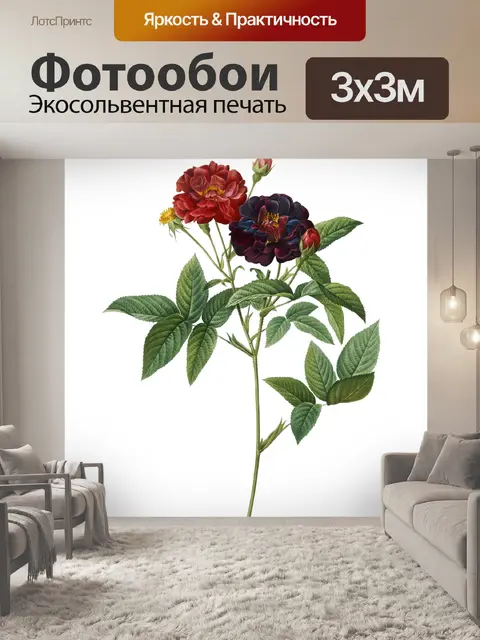 Фотообои Винтажная иллюстрация цветка розы