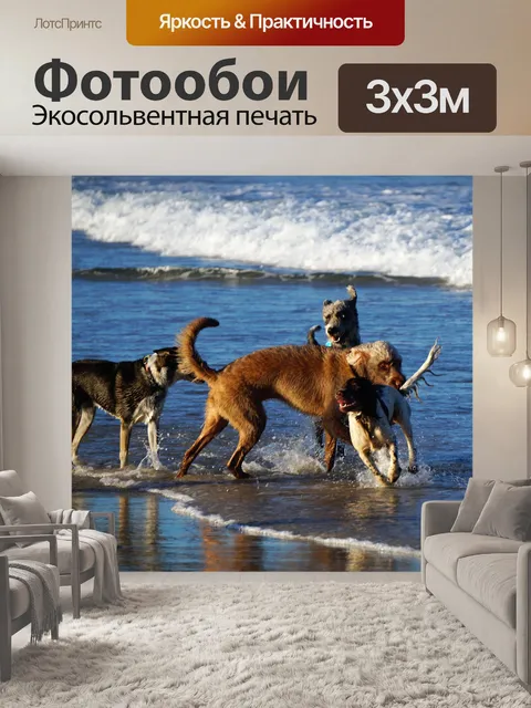 Фотообои Собаки на пляже