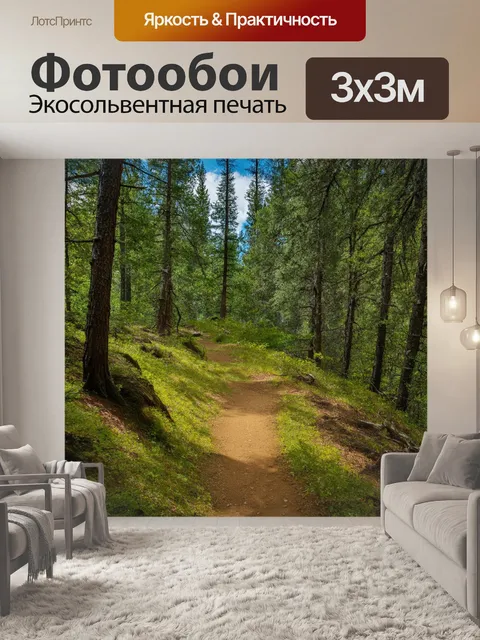 Фотообои россия леса — увлекательные тропы для пеших прогулок