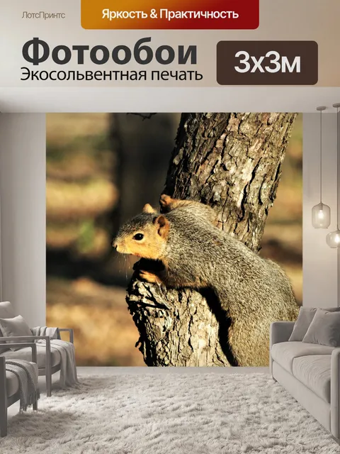 Фотообои Белка на дереве крупным планом
