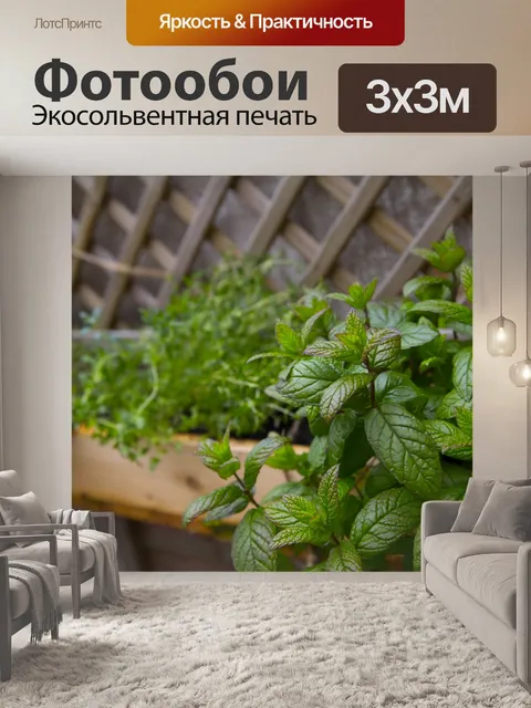Фотообои Свежая мята