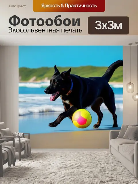 Фотообои собаки играют с мячом на пляже