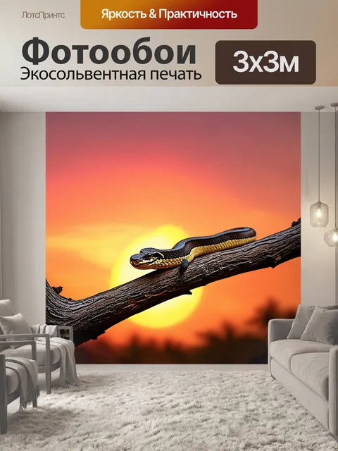 Фотообои гремучая змея, грациозно ползущая по ветке дерева, на фоне заката