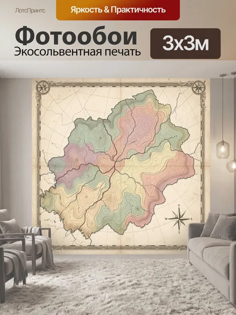Фотообои Карта-схема с контурными линиями