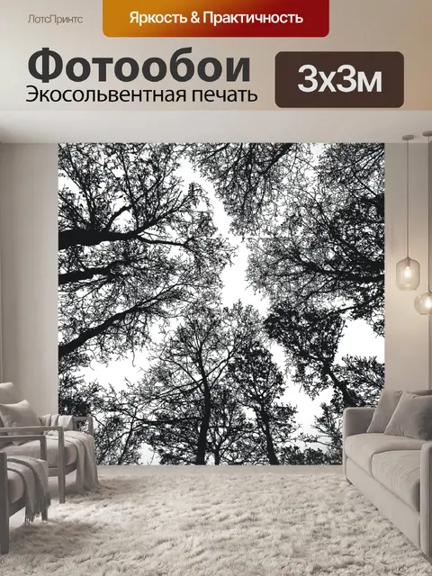 Фотообои Деревья