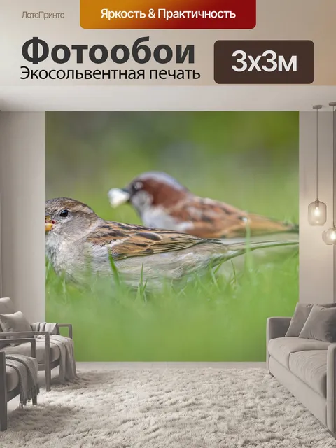 Фотообои Птицы