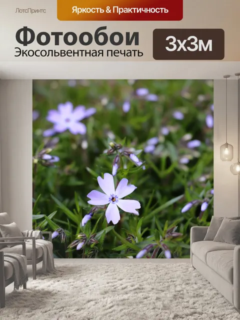 Фотообои Флокс