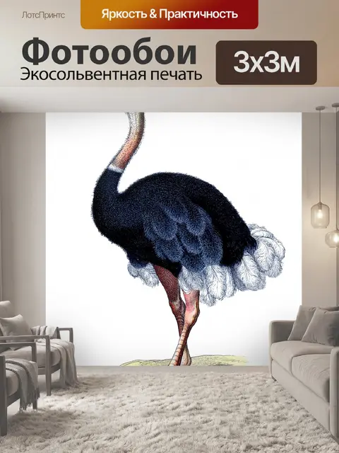 Фотообои Страус старинные картинки