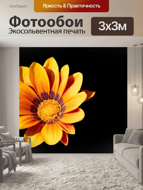 Фотообои Цветок, Gazania rigens, Полуденное золот