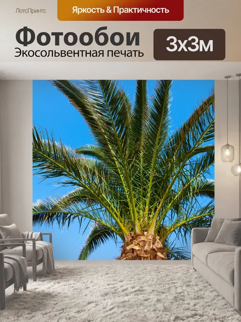 Фотообои пальмы и небо