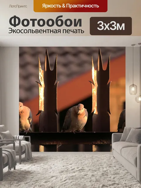 Фотообои Голуби