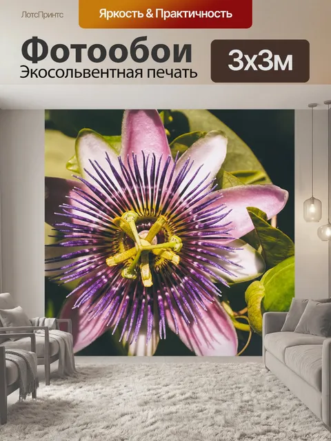 Фотообои Цветок страсти