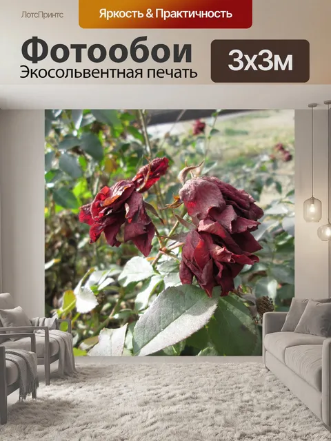 Фотообои Увядшие розы макрос 5