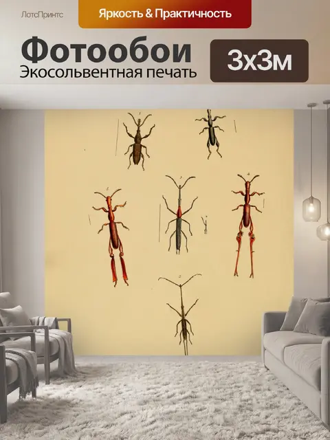 Фотообои Винтажное искусство иллюстрации насекомы
