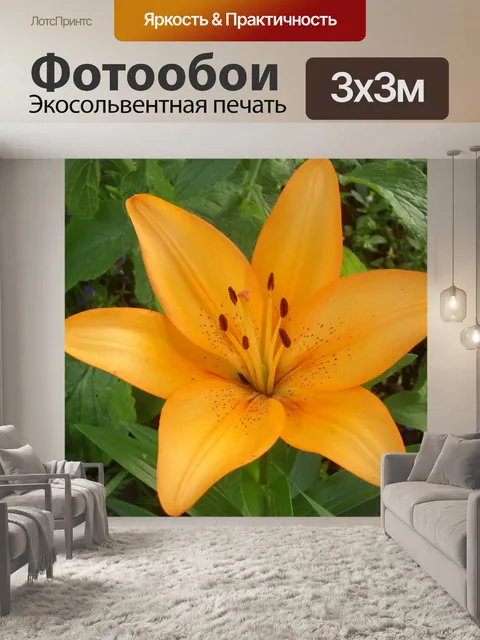 Фотообои Лилия