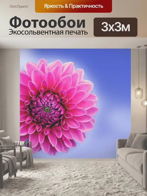 Фотообои Далия Цветочное голубое небо