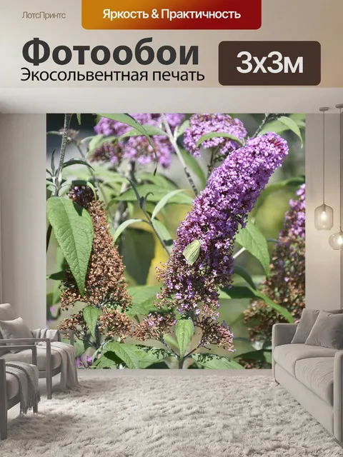 Фотообои Дерево бабочек