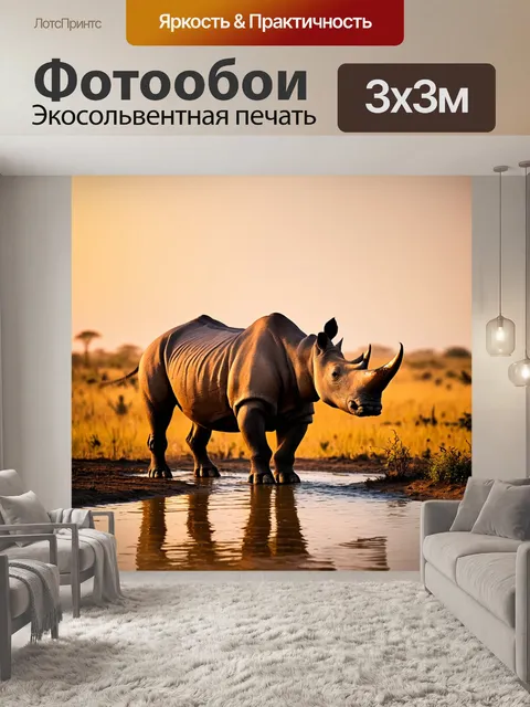 Фотообои носорог, стоящий у водопоя в саванне на закате