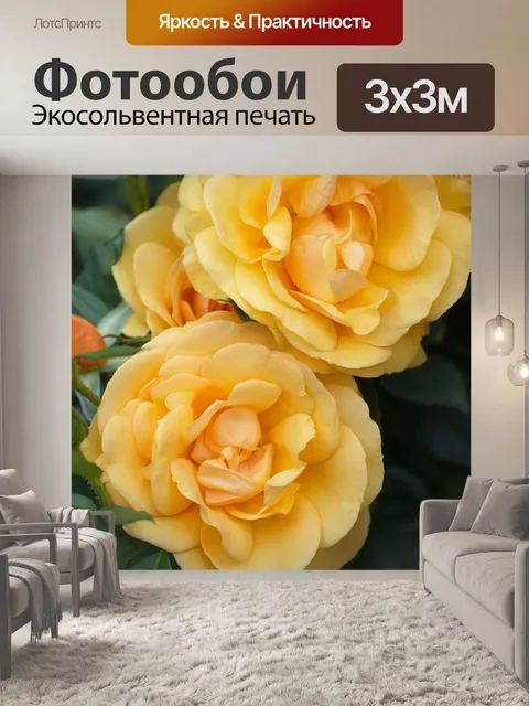 Фотообои Розы