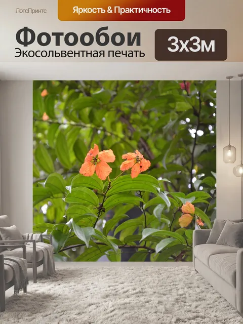 Фотообои дикие оранжевые цветы